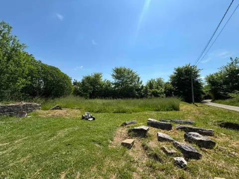 Prodaja, plac, 8384m², Kosić, Danilovgrad - image 4