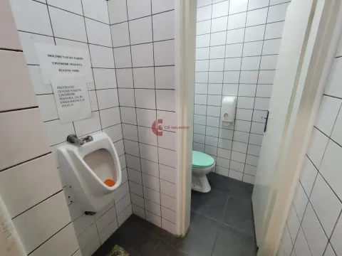 Izdavanje, poslovni prostor, 320m², Centar, Subotica - image 8