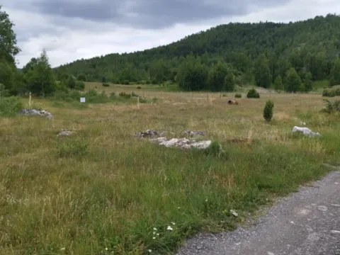 Prodaja, plac, 591m², Tepačko polje, Žabljak - image 2