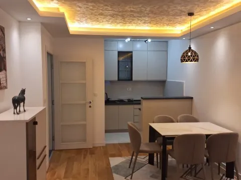 Izdavanje, jednosoban stan, 49m², Central Point, Podgorica - image 3
