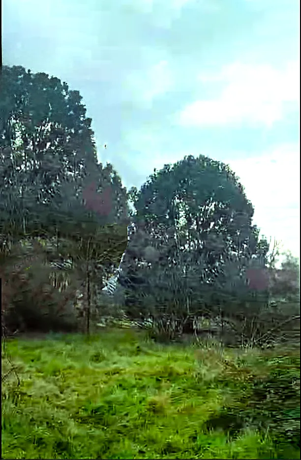 Izdavanje, plac, 2401m², Podgorica, Crna Gora