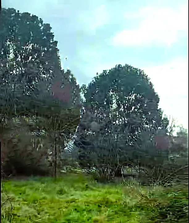 Rent, land lot, 2401m², Podgorica, Crna Gora