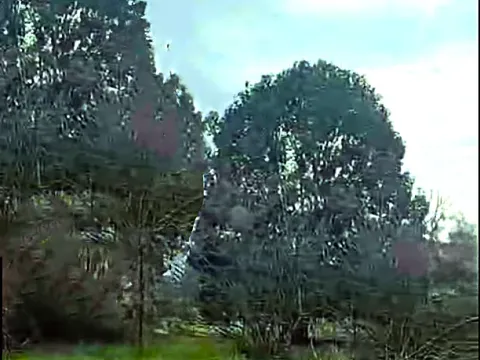 Izdavanje, plac, 2401m², Podgorica, Crna Gora - image 1