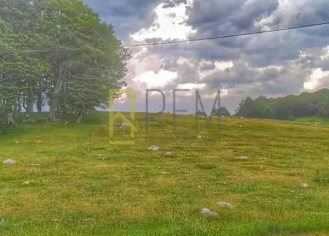 Prodaja, plac, 5320m², Žabljak, Crna Gora - image 3