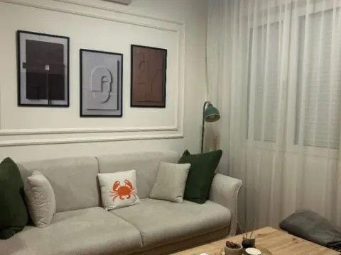 Izdavanje, jednosoban stan, 41m², Velji Vinogradi, Budva - image 11