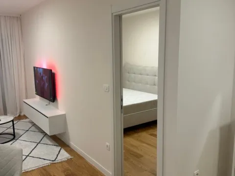 Izdavanje, jednosoban stan, 43m², Central Point, Podgorica - image 3