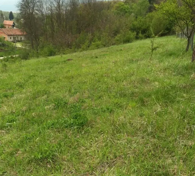 Prodaja, plac, 4700m², Babe, Sopot