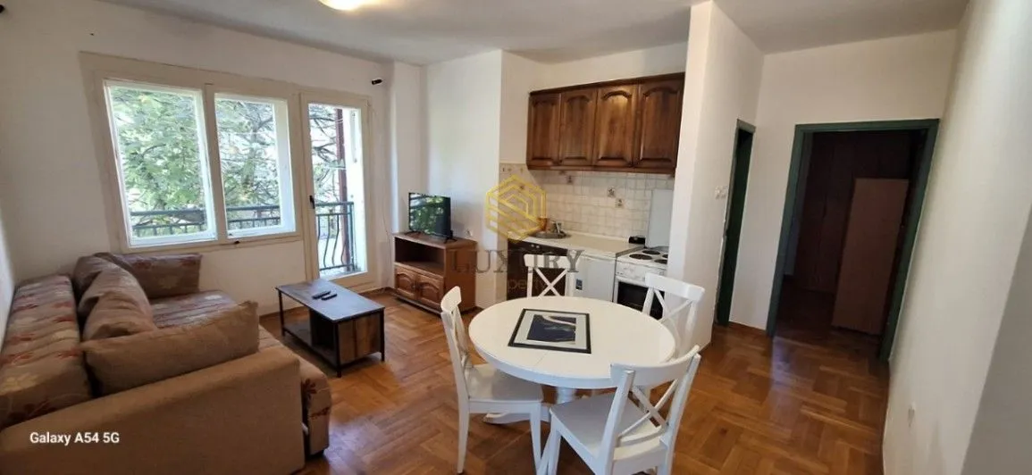 Izdavanje, jednosoban stan, 50m², Stari Aerodrom, Podgorica