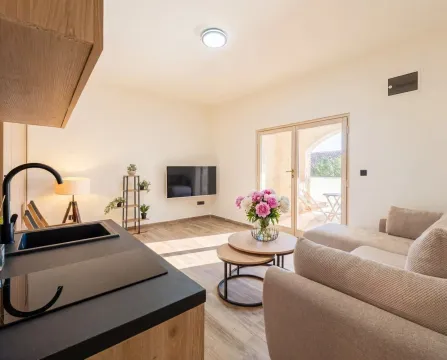 Izdavanje, jednosoban stan, 46m², Reževići, Budva - image 3