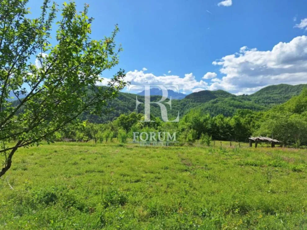 Prodaja, plac, 22391m², Ulica, Kolašin