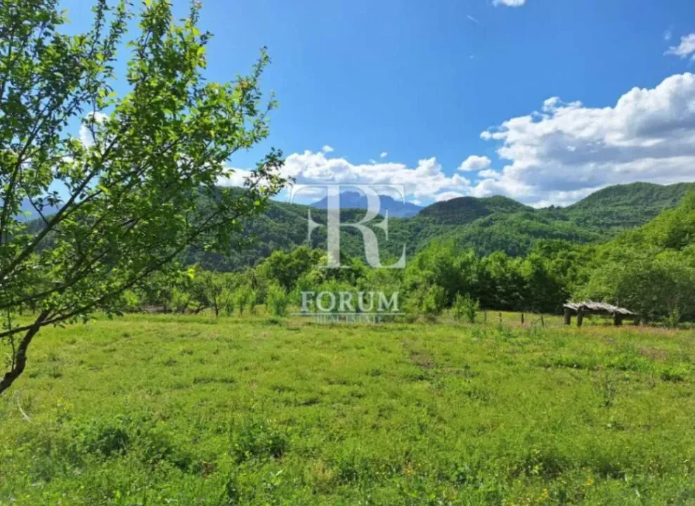 Prodaja, plac, 22391m², Ulica, Kolašin