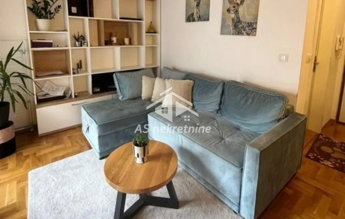 Izdavanje, stan, 40m², Autokomanda, Voždovac Sve Podlokacije