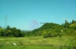 Pogled na zeleno dvorište i prirodu u okruženju.