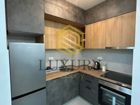 Izdavanje, jednosoban stan, 45m², Central Point, Podgorica - image 8
