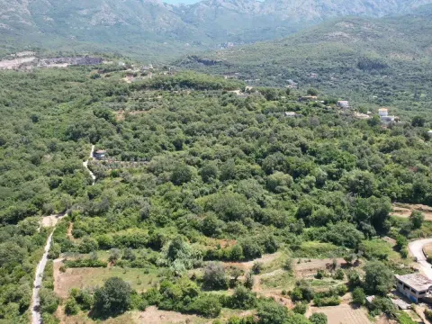 Prodaja, plac, 3000m², Radanovići, Kotor - image 16