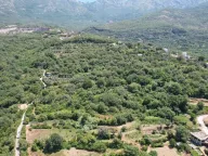 Sale, land lot, 3000m², Radanovići, Kotor - image 15