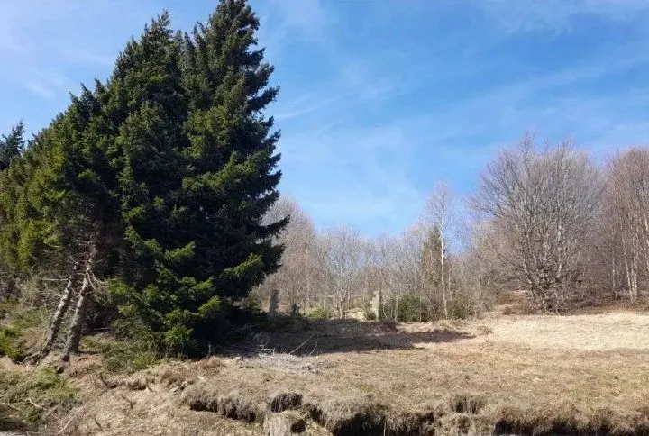 Prodaja, plac, 4200m², Raška, Srbija