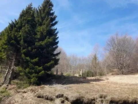 Prodaja, plac, 4200m², Raška, Srbija - image 12