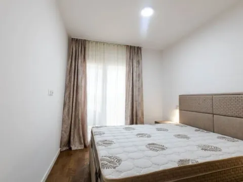 Izdavanje, jednosoban stan, 46m², Stari Aerodrom, Podgorica - image 6