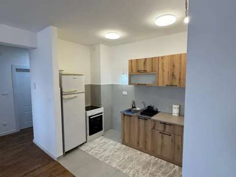 Izdavanje, jednosoban stan, 55m², Stari Aerodrom, Podgorica - image 3