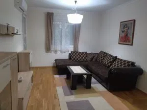 Rent, one bedroom apartment, 47m², Ljubović, Podgorica