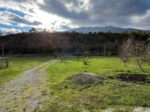 Sale, house, 62m², Glavica, Danilovgrad - image 6