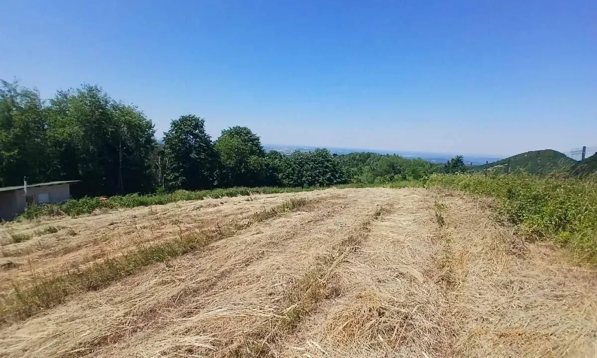 Prodaja, plac, 6064m², Jagodina, Srbija