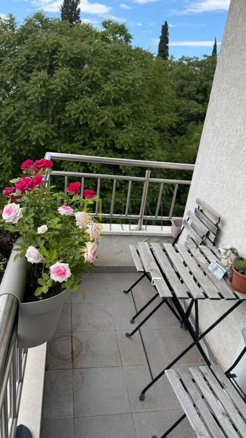 Rent, one bedroom apartment, 50m², Centar, Podgorica