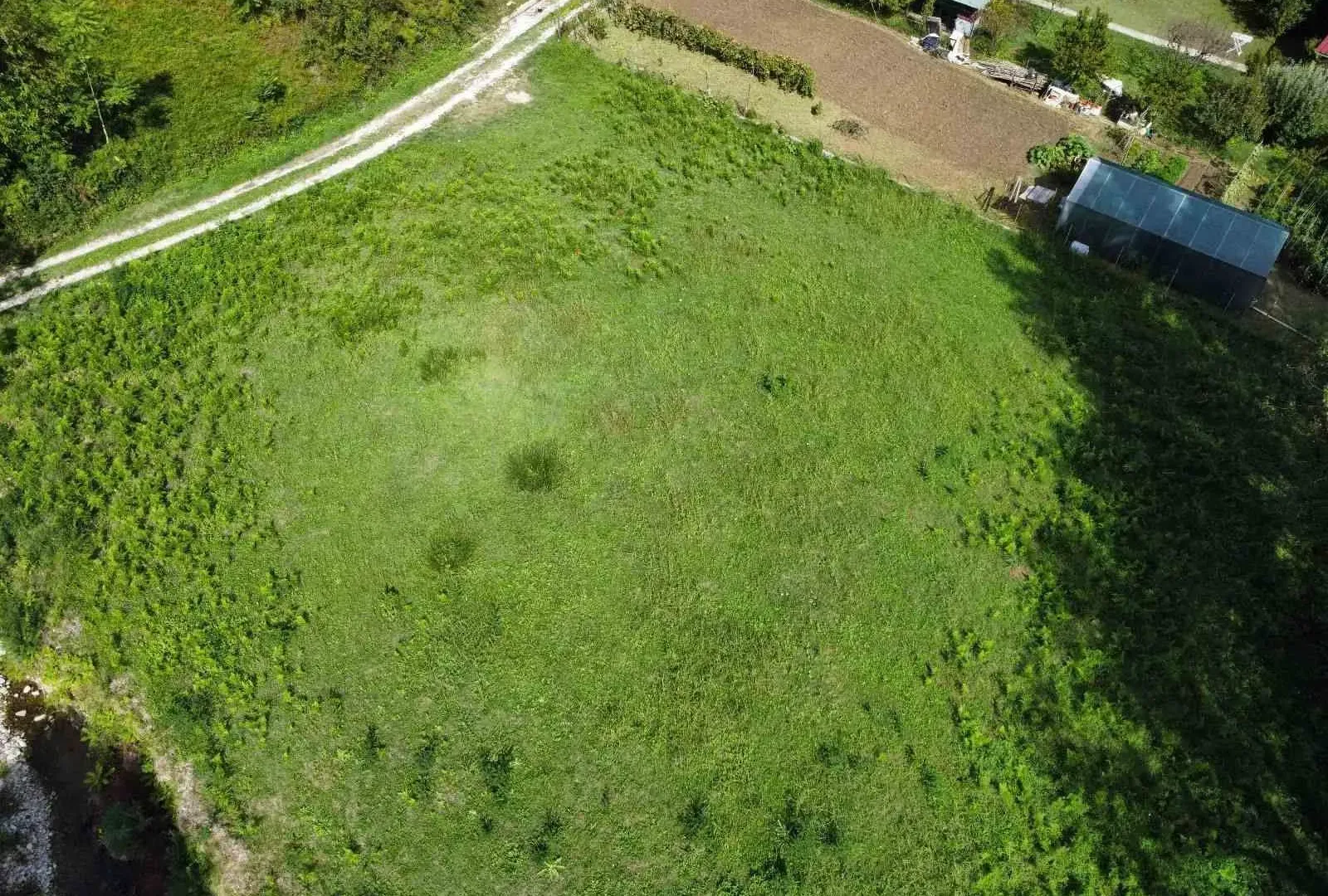 Prodaja, plac, 1167m², Sutorina, Herceg Novi