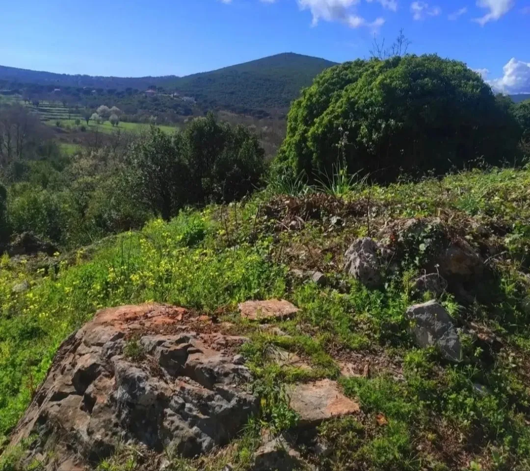 Sale, land lot, 2500m², Višnjevo, Kotor