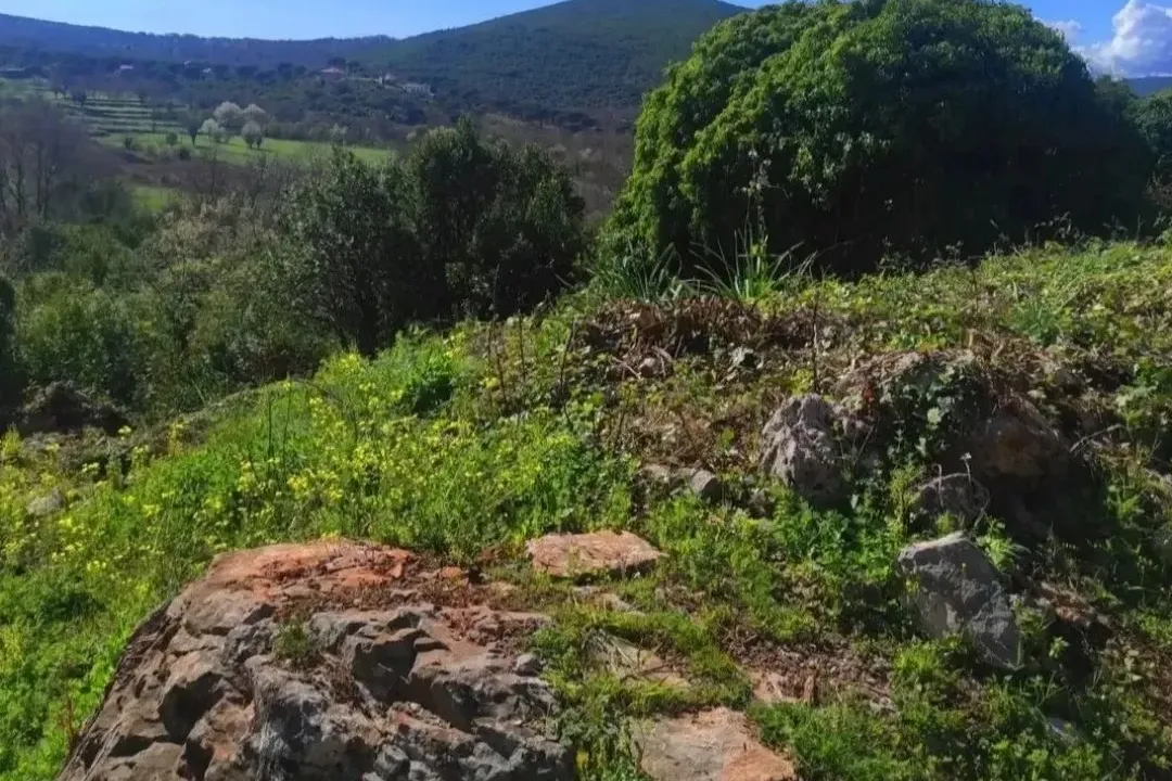 Sale, land lot, 2500m², Višnjevo, Kotor