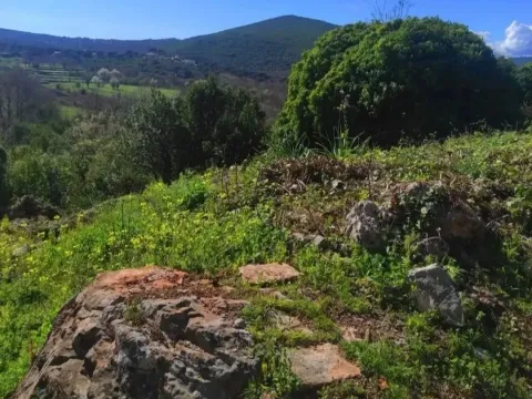 Sale, land lot, 2500m², Višnjevo, Kotor - image 1