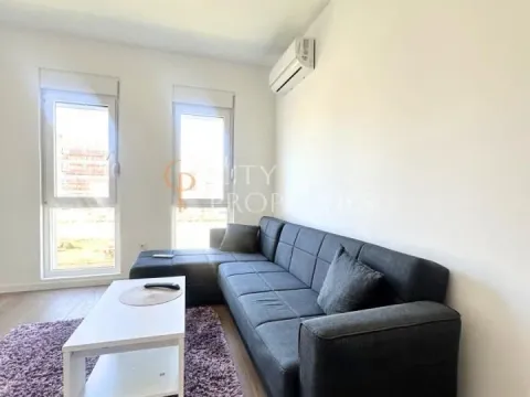 Izdavanje, stan, 30m², Zabjelo, Podgorica - image 4