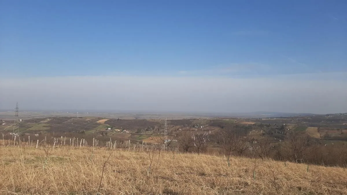 Prodaja, plac, 6400m², Sremski Karlovci, Novi Sad