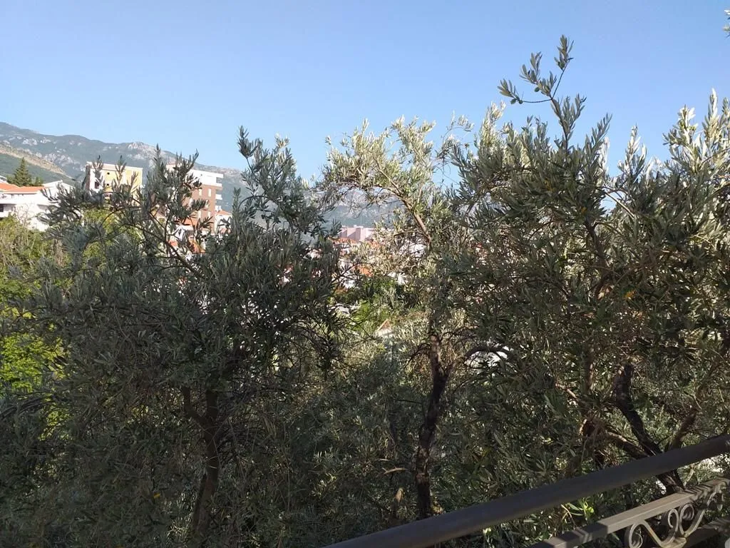 Sale, apartment, 64m², Bečići, Budva