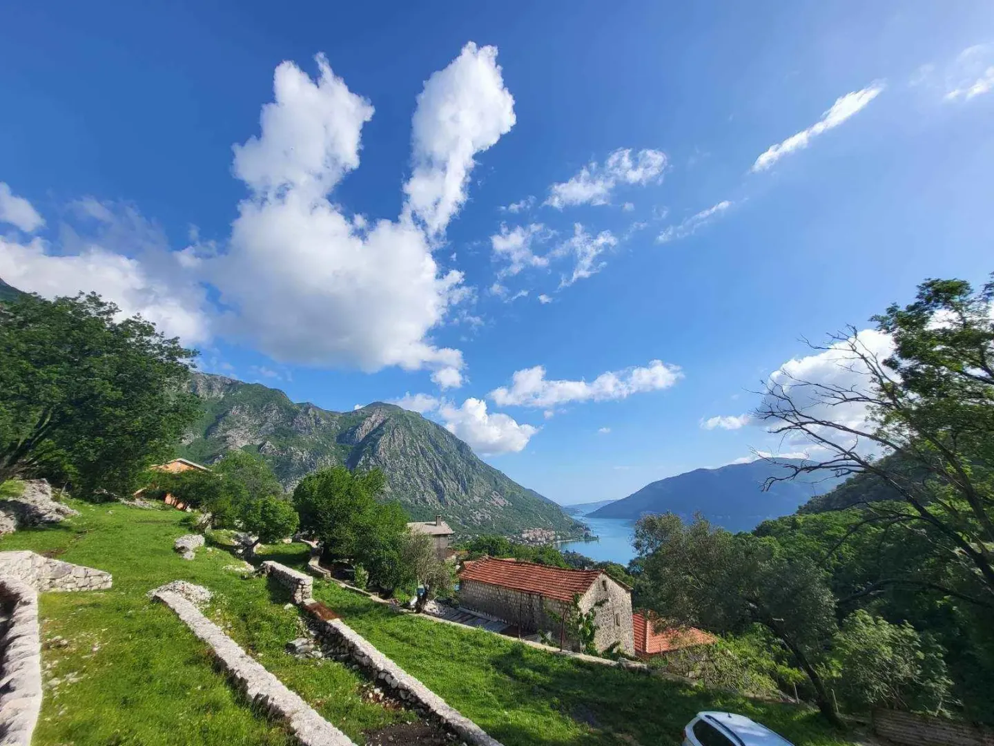 Prelijep pogled na Bokokotorski zaliv sa zelenih padina i planina.
