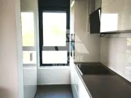 Izdavanje, četvorosoban stan, 100m², Vračar Hram, Vračar Sve Podlokacije - image 3