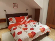 Izdavanje, jednosoban stan, 45m², Novi Sad Sve Podlokacije, Novi Sad - image 3