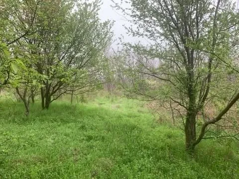 Prodaja, plac, 3358m², Mladenovac, Beograd - image 3