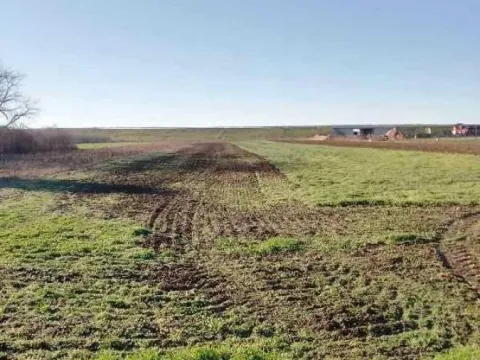 Prodaja, plac, 10366m², Jakovo, Surčin - image 5