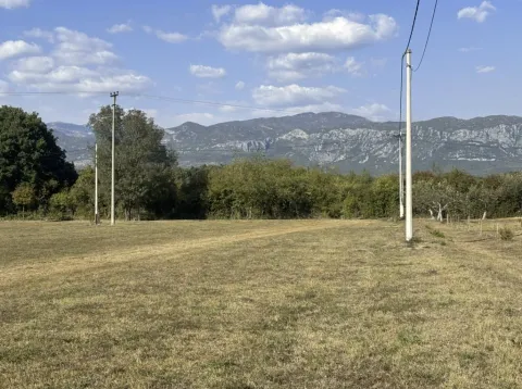 Pogled na ravno zemljište sa drvećem i stubovima električne mreže. - image 9