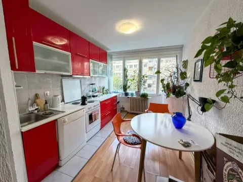 Rent, two bedroom apartment, 50m², Tašmajdan, Palilula Sve Podlokacije - image 10