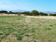 Sale, land lot, 1589m², Tuzi, Podgorica - image 3