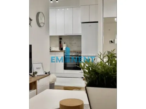Izdavanje, dvosoban stan, 42m², Vračar Sve Podlokacije, Beograd - image 2