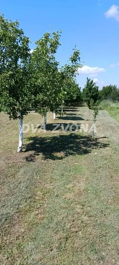Sale, house, 206m², Beška, Inđija