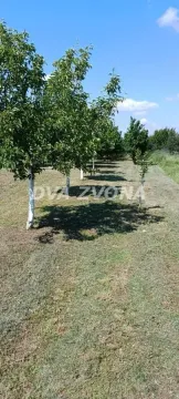 Sale, house, 206m², Beška, Inđija - image 8