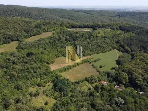 Prodaja, plac, 7700m², Banja Vrdnik, Irig - image 3