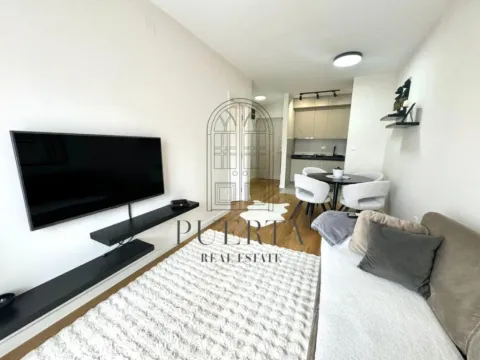 Izdavanje, jednosoban stan, 40m², Central Point, Podgorica - image 4