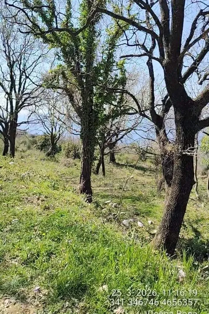 Prodaja, plac, 1227m², Dobre Vode, Bar