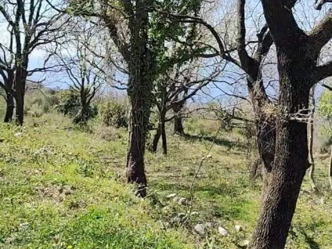 Prodaja, plac, 1227m², Dobre Vode, Bar - image 14